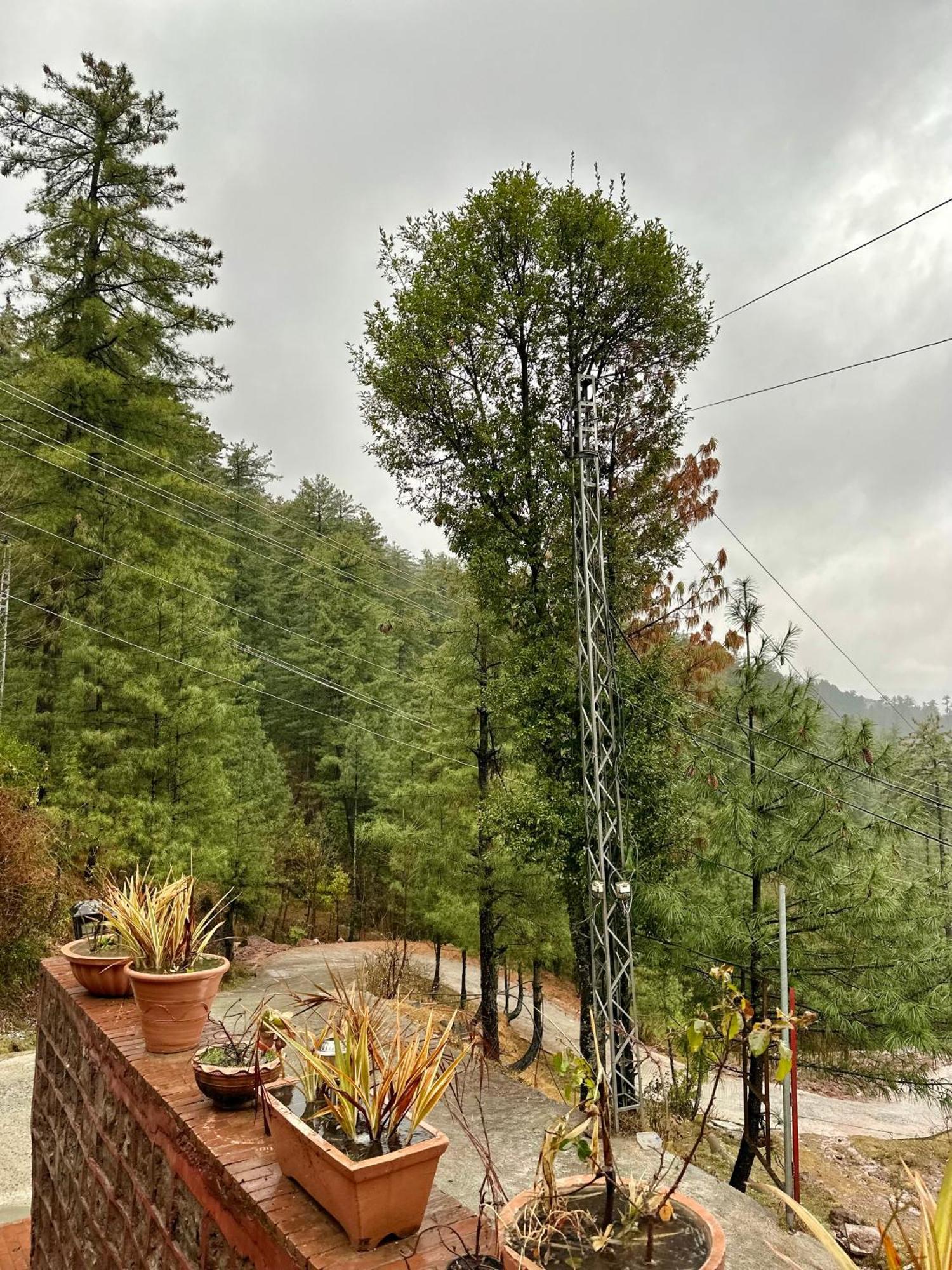 Sarah's Lodge Murree Bagian luar foto